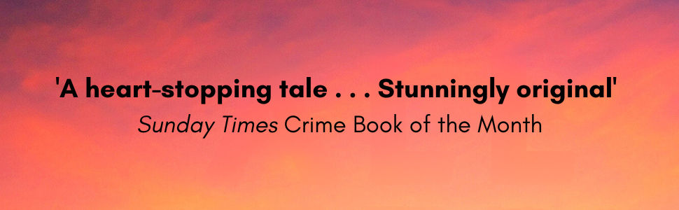 A heart-stopping tale, stunningly original - sunday times