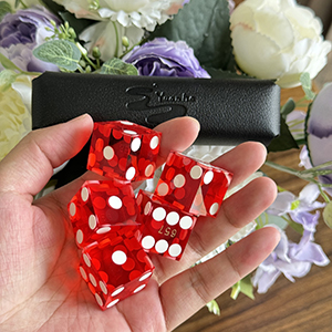 casino dice set