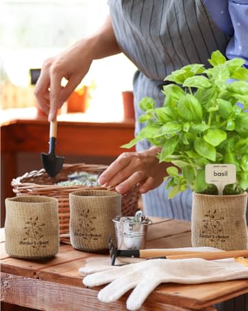 Herb Seeds