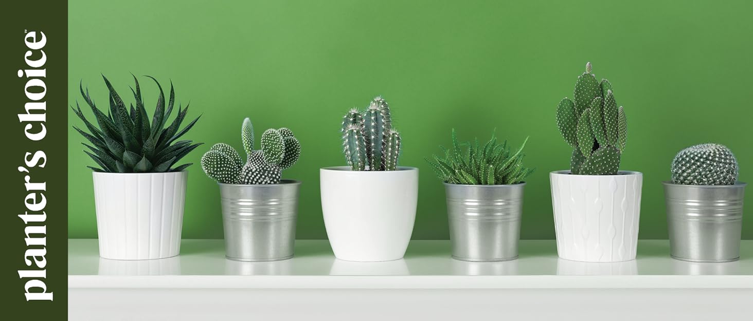 PlANTERS CHOICE